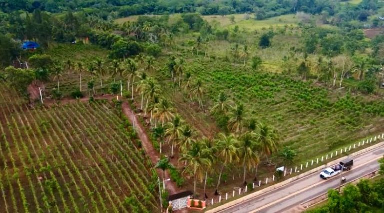 Finca en venta en Bayaguana